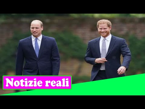 Video: Nella Nuova Casa Del Principe Britannico Harry E Della Sua Fidanzata Megan, C'è Un Fantasma - Visualizzazione Alternativa