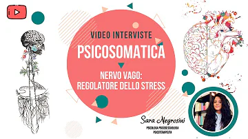 Come stabilizzare il nervo vago?