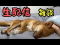 雑談生配信