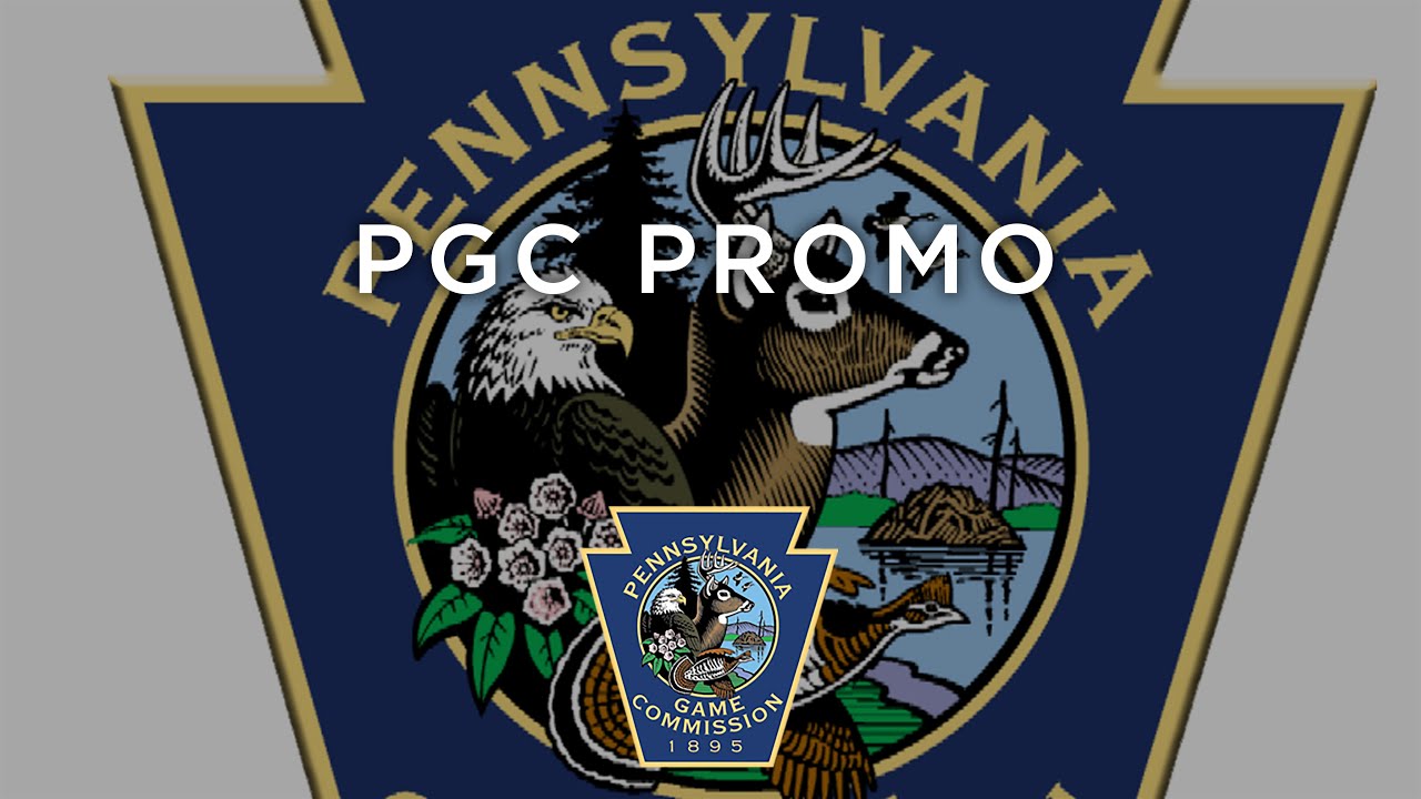 PGC Promo 2