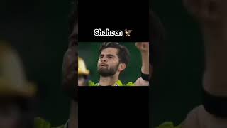 Shaheen Afridi 🦅. #cricket #psl #babarazam