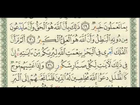 شرح تفسير لسورة لقمان من آية ٢٩ إلى آية ٣٤ للشيخ فهد العمار 