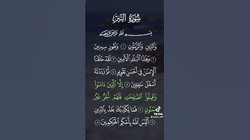 سورة التين كاملة بصوت القارئ الشيخ ماهر المعيقلي القران الكريم