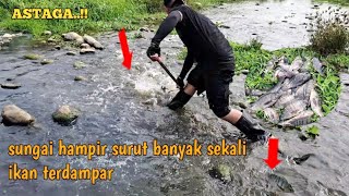 ASTAGA..❗️SUNGAI DANGKAL BANYAK IKAN KESURUTAN IKAN LIAR