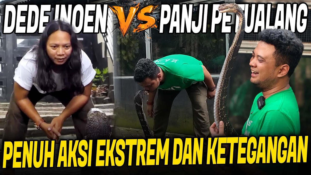 FLASHBACK PETUALANGAN DUA PAWANG ULAR‼️ DEDE INOEN X PANJI PETUALANG