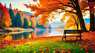 Music heals the heart with Autumn🍁 Gentle music restores the nervous system and satisfies the soul 2
