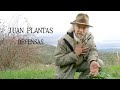 JUAN PLANTAS | Defensas