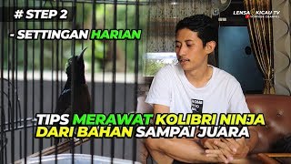 STEP 2 : CARA MUDAH, RAWATAN HARIAN KONIN BAHAN AGAR SIAP LOMBA | PROSES PENJODOHAN