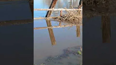 Walking through flooded Van Giesen street. (It's bad.)