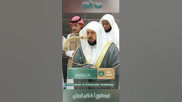 تلاوة خاشعة 🕊 سورة الأحزاب 🌿  الشيخ أ.د ماهر بن حمد المعيقلي