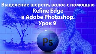 Уроки Фотошопа. Adobe Photoshop. Урок 9. Refine Edge - Уточнение краёв.