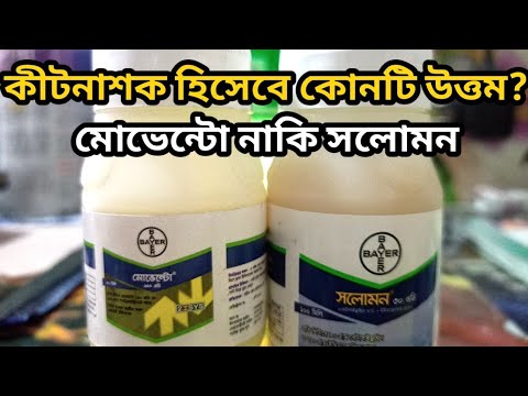 ভিডিও: সলোমন এর সীল কি জন্য ভাল?