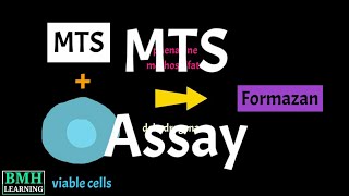 mts Assay | Cell Proliferation Assay | MTS Cell Viability Asaay |