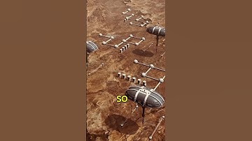 Neil deGrasse Tyson on Elon Musk, Mars colonisation | Focus on terraforming Earth instead of Mars