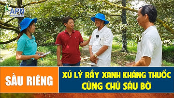 APN - XỬ LÝ RẦY XANH KHÁNG THUỐC CÙNG CHÚ SÁU BỜ