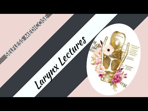 LARYNX lecture 9 CHRONIC LARYNGITIS and PACHYDERMIA LARYNGES