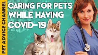 Caring for pets if you have Covid 19 what to do by Pet Advice Channel 12 views 1 year ago 6 minutes, 5 seconds