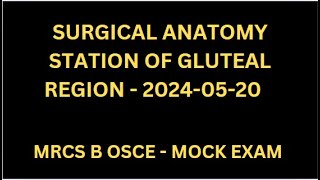 SURGICAL ANATOMY STATION OF GLUTEAL REGION