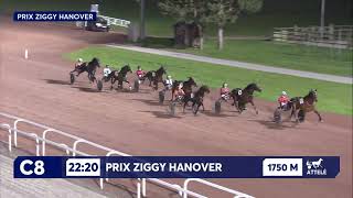 Vidéo de la course PMU PRIX ZIGGY HANOVER