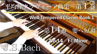 PIANO 2000 ピアノのための14のオリジナル作品集 バッハ/オマージュ バッハピアノ小品集14 ガボット - YouTube