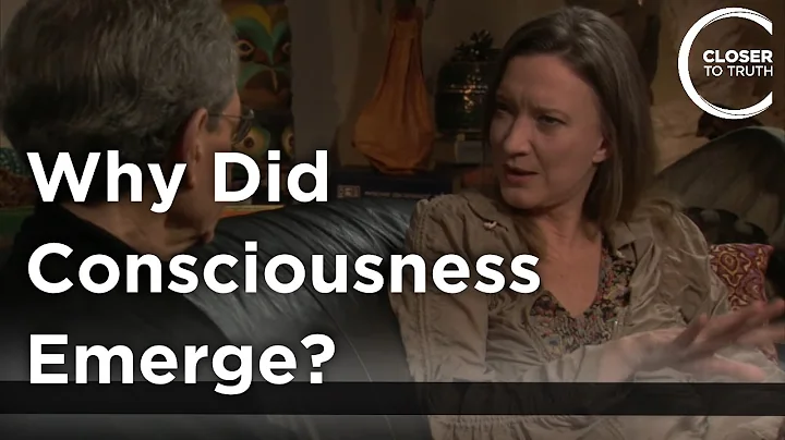 Deirdre Barrett - Why Did Consciousness Emerge?