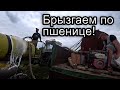 Пшеница к уборке готова! Брызгаем по листу. ЮМЗ-8280