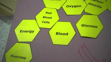 SOLO Taxonomy - The Hexagon Challenge!