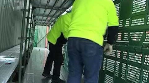 ScaffGuard® Scaffold Containment System