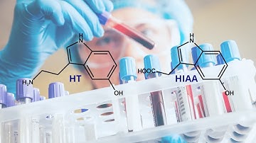Rapid Detection of the Biomarkers for Carcinoid Tumors by a Lanthanide Metal–Organic Framework