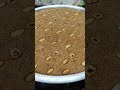 مش اي حدا بيعمل هيك مستحيل هريسة 