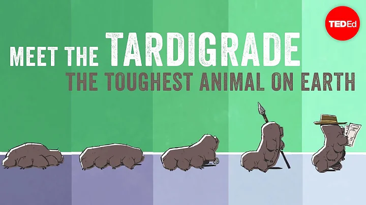 Meet the tardigrade, the toughest animal on Earth ...