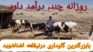 نوآوری در قلعه نای (نیقلعه)