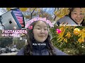 VLOG: РАСПАКОВКА IPAD | СТУДЕНЧЕСКИЕ БУДНИ