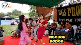 Ngobor kodok - Zihan Moka - BGS pro - orgen tunggal Karawang