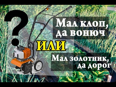 Video: Br30 maksudnya?