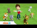 Psi Patrol | Teledysk - Piosenka Przyjaźni🐾 | Nick Jr. Polska