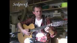 Sedgwick Sitar Guitar
