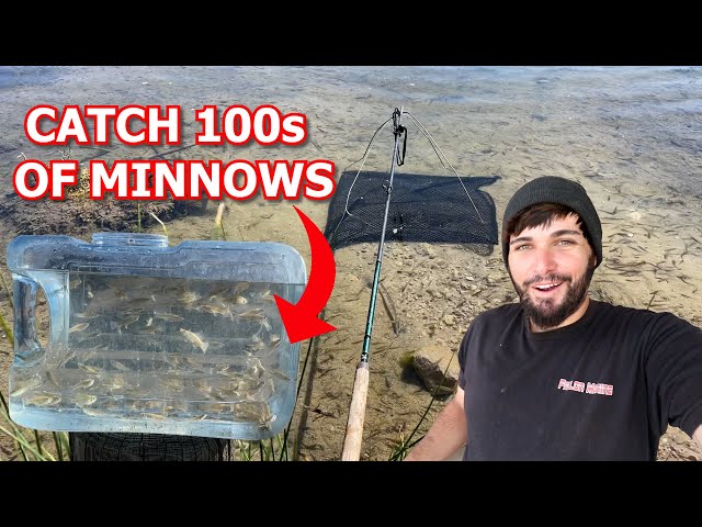 Homemade vs. Store Bought Minnow Trap! Surprising Results! 