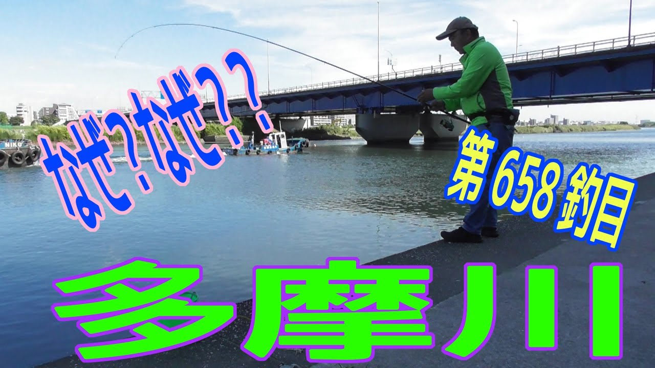 釣り動画ロマンを求めて 658釣目