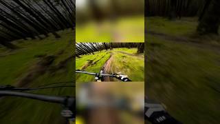 Zigged Instead Of Zagged