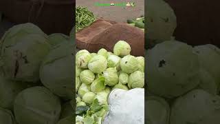 #fruitandvegetablerecipes  #facebook  #food  #fruitandveg  #deoband  #saharanpur  #Video #Facebook