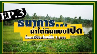 องค์ความรู้วิชาของแผ่นดิน l EP.3 ธนาคารน้ำใต้ดินแบบเปิด