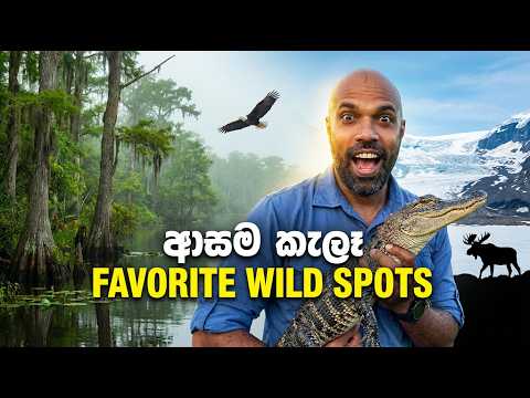ආසම කැලෑ | Favourite Wild Spots | Dr. Ru Somaweera | #යංසත්තුබලන්න #rugoeswild