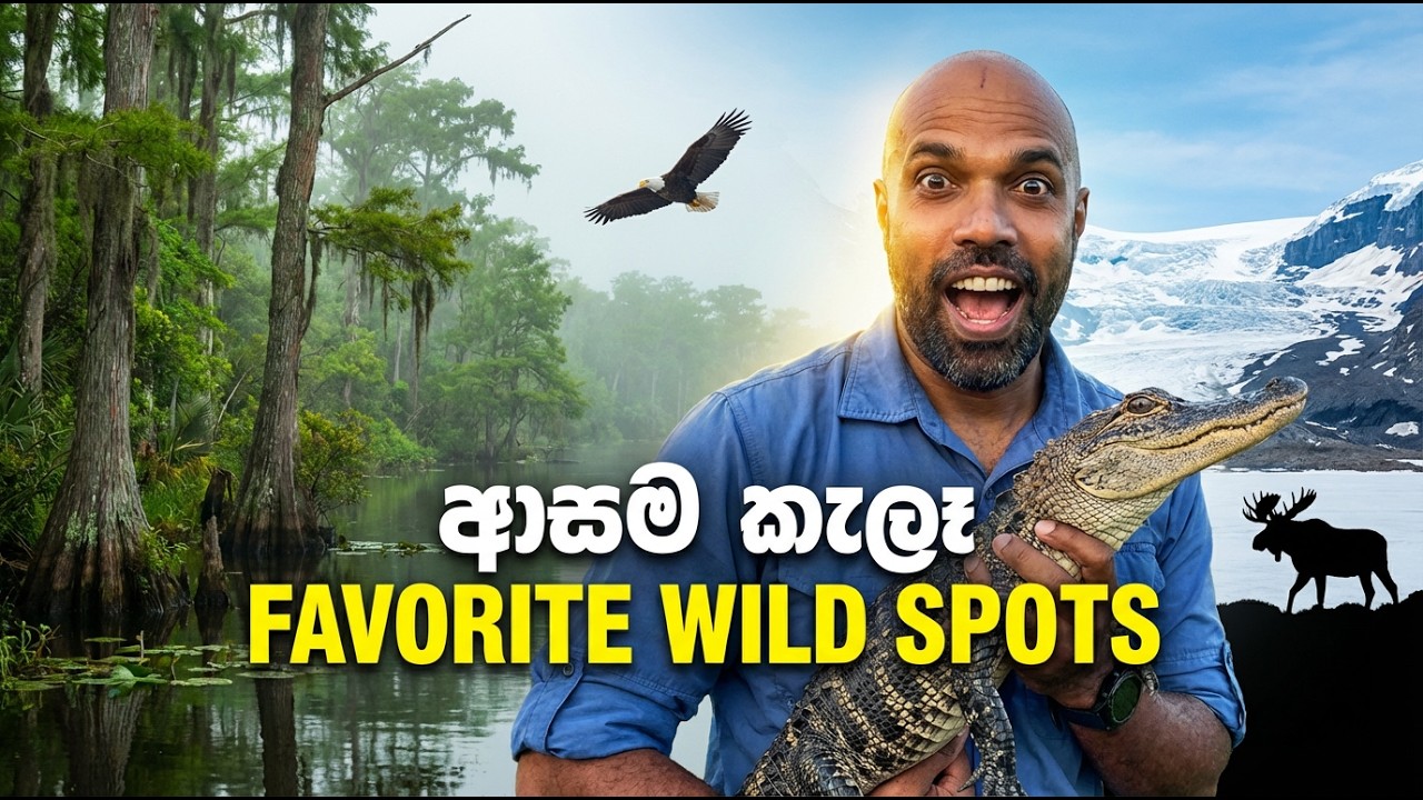 Top 5 කැලෑ ගමන් | Dr. Ru Somaweera | #යංසත්තුබලන්න #rugoeswild