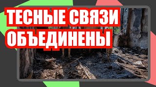 Тесные связи   Россия и Китай объединены