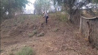 Vamos a cembrar  el 🌽 