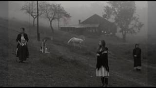 Cinema as Art: The Philosophy of Andrei Tarkovsky