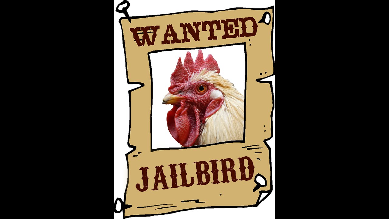 jailbird-youtube