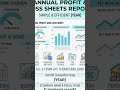 Simple Annual Profit and Loss P&amp;L Google Sheets Report