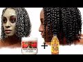 HOW TO GET THE MOST DEFINED BEAUTIFUL CURLS! BRING YOUR CURLS BACK TO LIFE! | Shlinda1